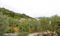 Croatia, Island of Korčula,  - Apartment, for sale