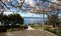 Croatia, Middle Dalmatia,  - House, for sale